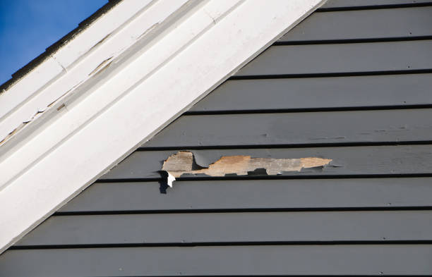 Best Custom Siding Design  in Little Chute, WI